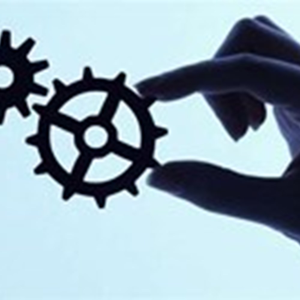 cogs held in hands systems 