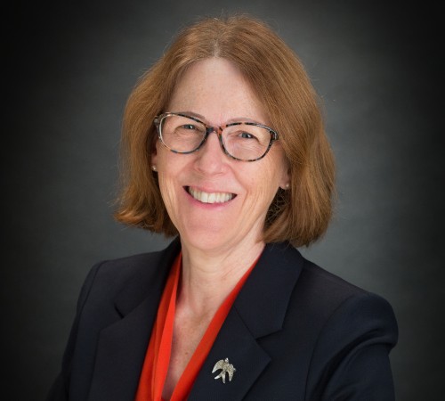Headshot of Professor Barbara Evans FREng