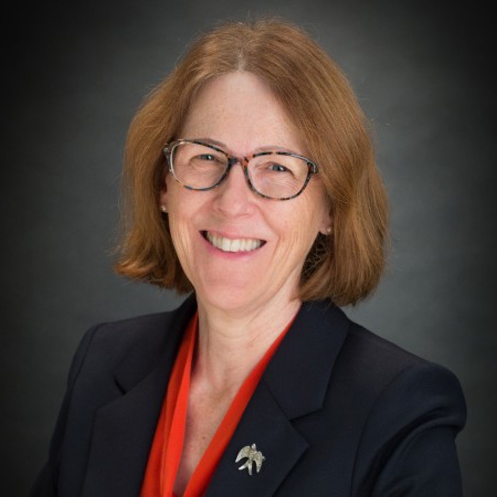 Headshot of Barbara Evans FREng