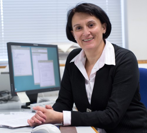 Headshot of Professor Lidija Zdravkovic FREng