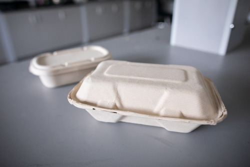 Photo of the biodegradable packaging.