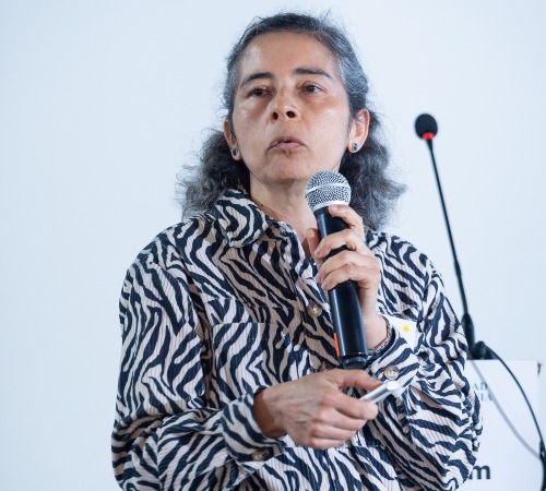 Professor Aída Luz Villa Holguín presenting