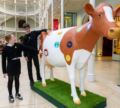 Two students next to a cow model