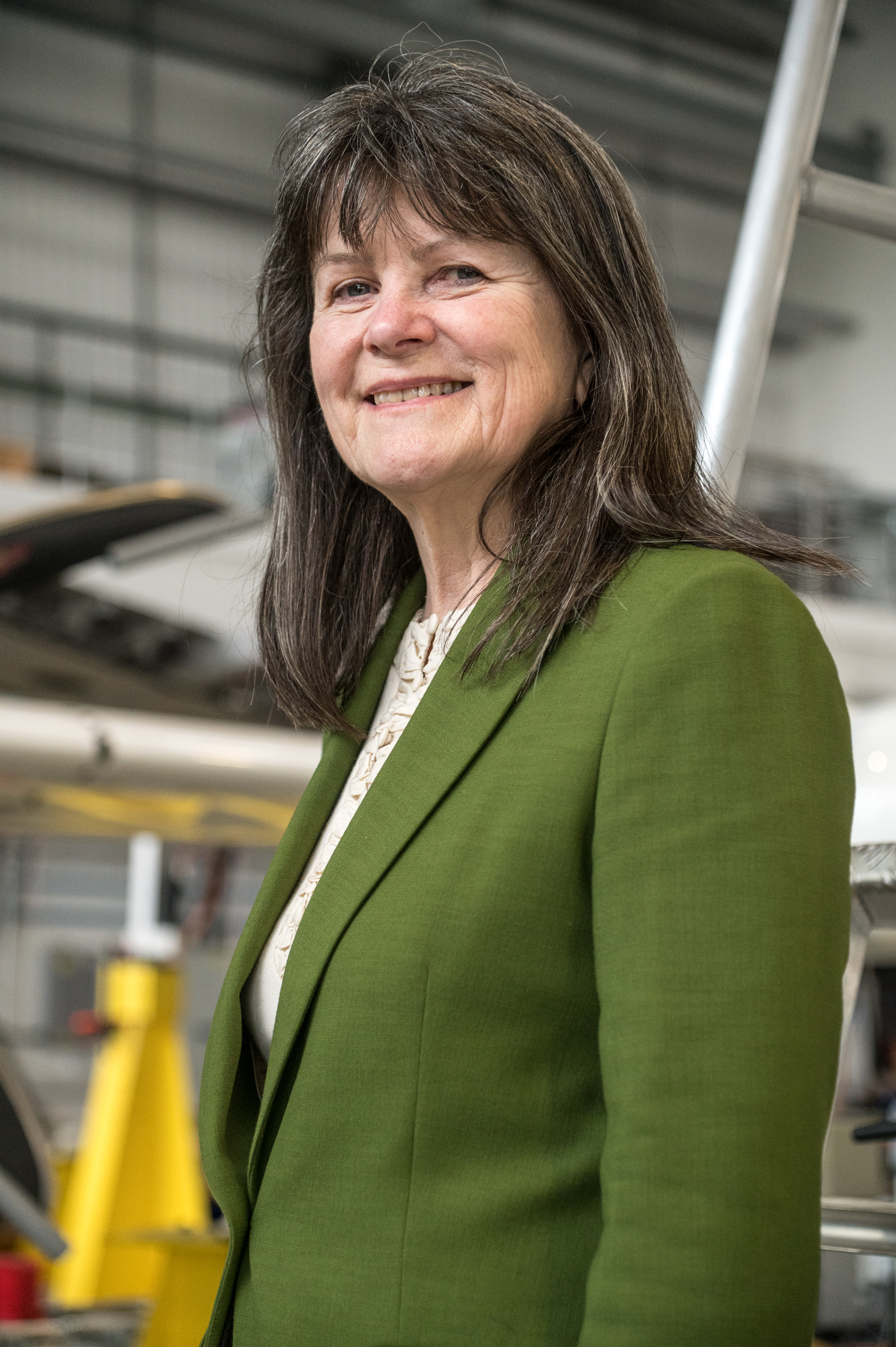 Professor Dame Karen Holford DBE FREng FLSW