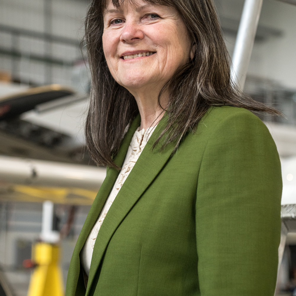 1 Professor Dame Karen Holford DBE Freng FLSW 