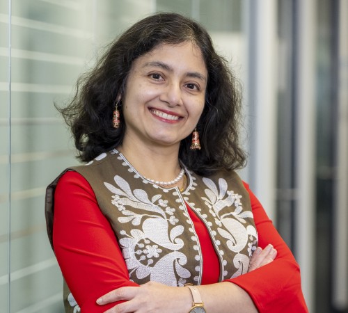 Headshot of Professor Jhuma Sadhukhan FREng