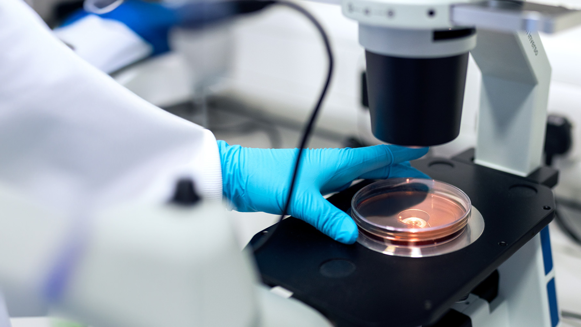 Academy comments on engineering biology funding, innovation clusters