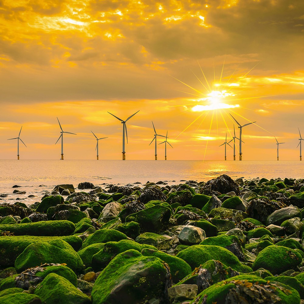 Offshore Windfarm With Sunset Landscape