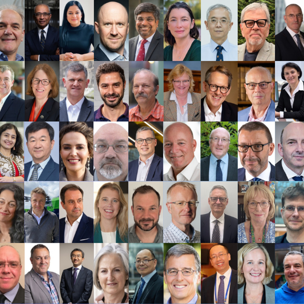 2026 Fellows Collage (1)