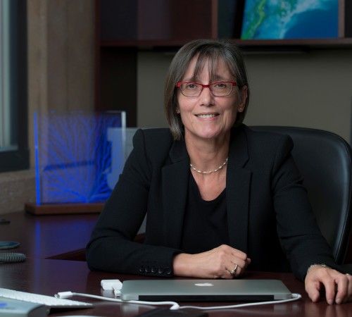 Headshot of Professor Efi Foufoula-Georgiou FREng