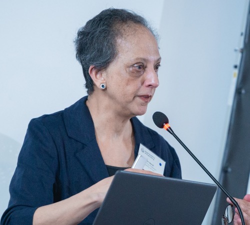 Professor Yasmin Merali opening the event