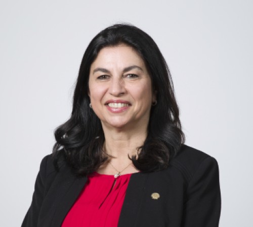 Headshot of Dr Selda Gunsel FREng