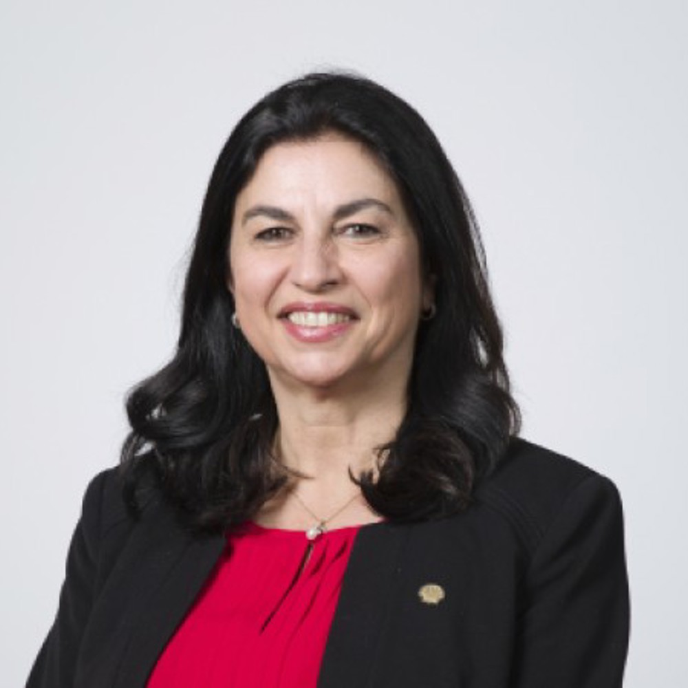 Gunsel, Selda Fellow 2026 500X450
