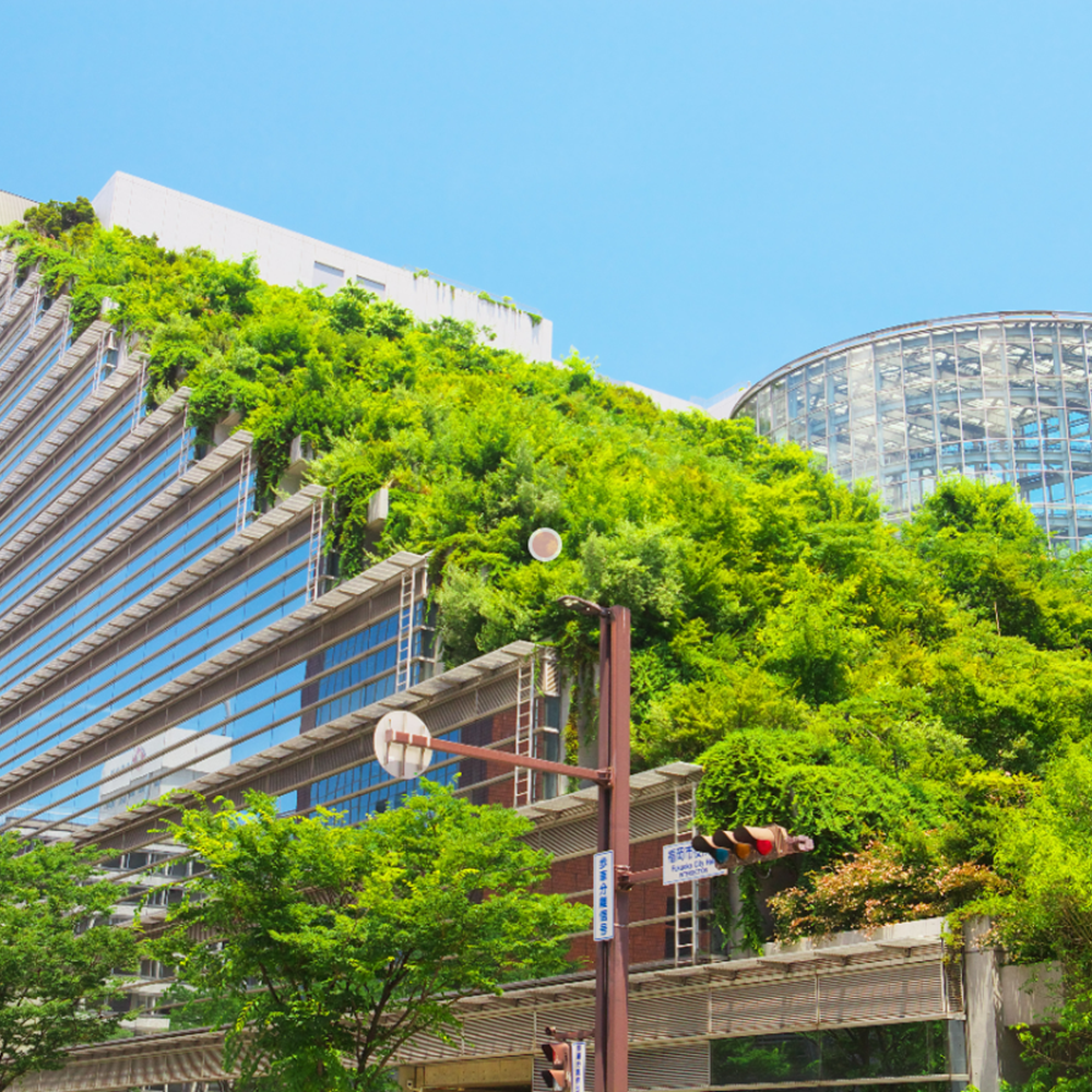 Building with green living roof