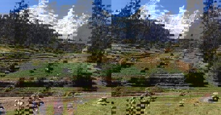 People looking at a landscape