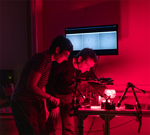 Two researchers work on quantum technology. The lab is lit with a red light.