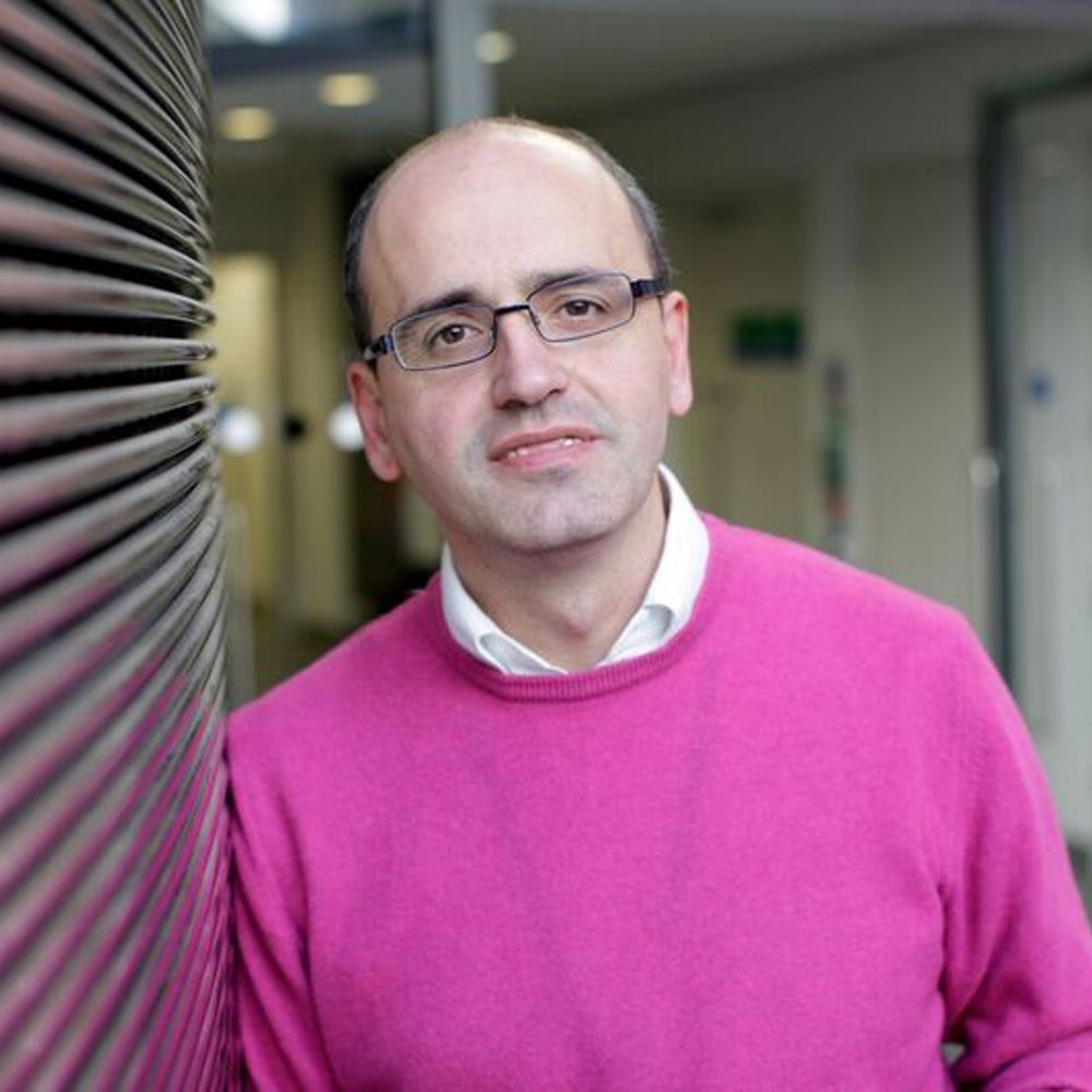 Professor Ricardo Fernando Martinez Botas Freng