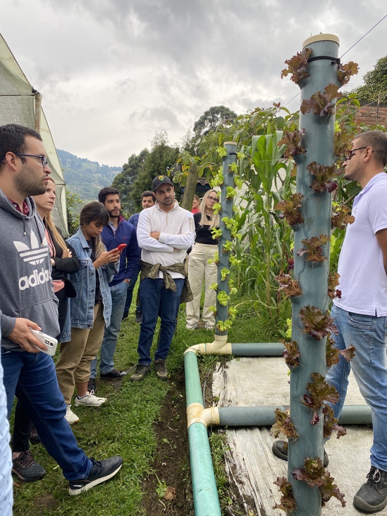 Innovators at a Leaders in Innovation Fellowships in-country event in Colombia meet a vertical agricultural farmer in the suburbs of Medellin