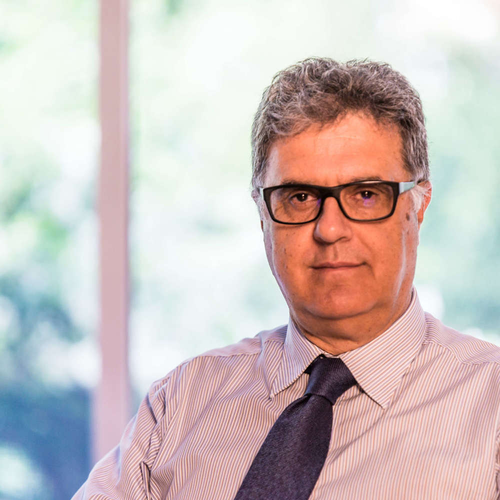 Anthony Martin O'neill Freng