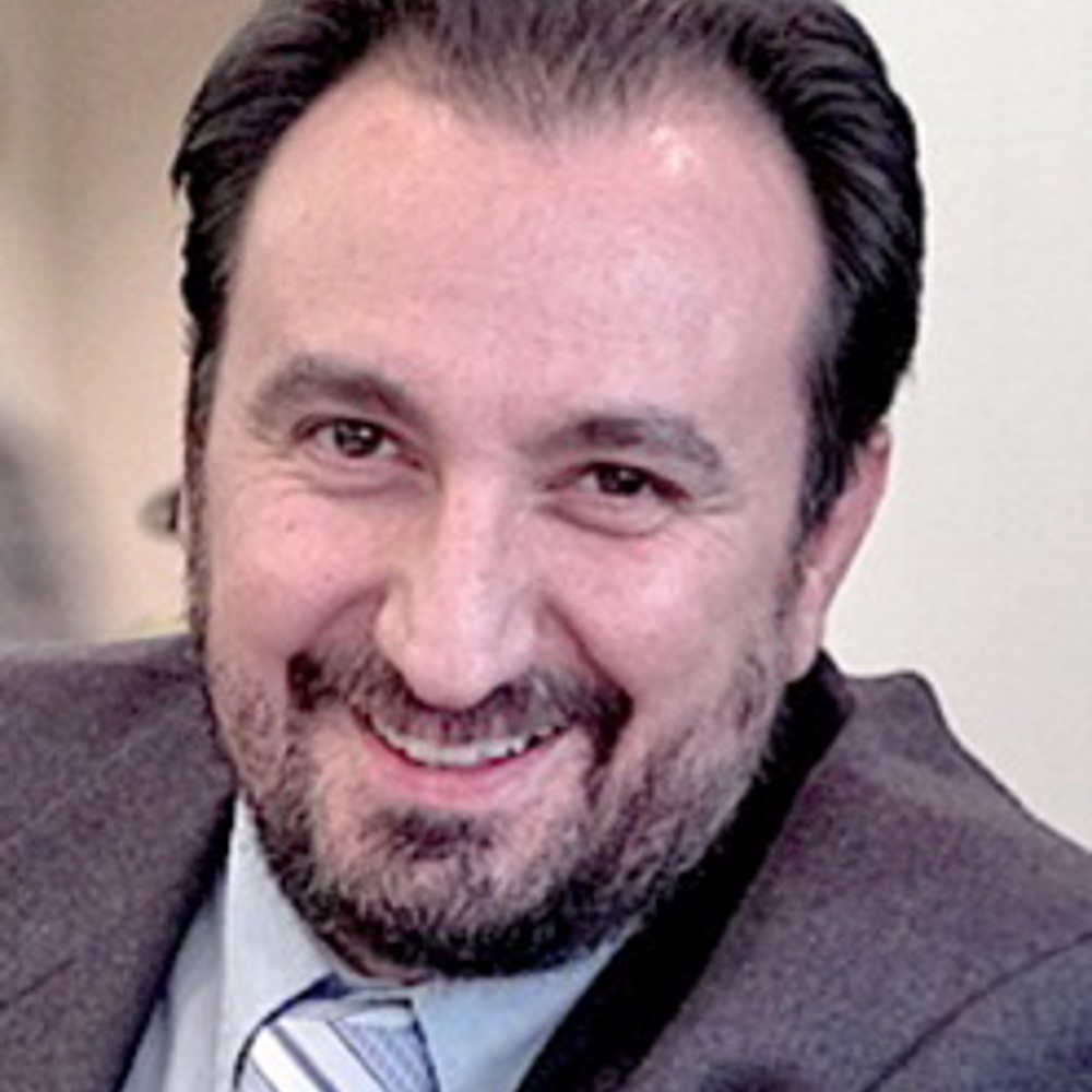 Professor Marco Viceconti Freng